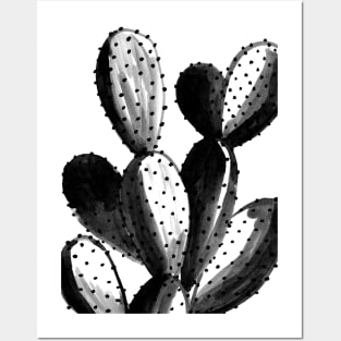 Cacti #5 Posters and Art